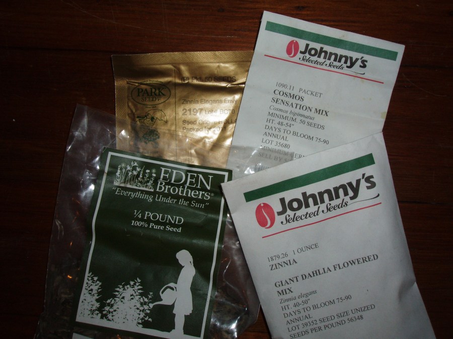 Zinnia and Cosmos seeds