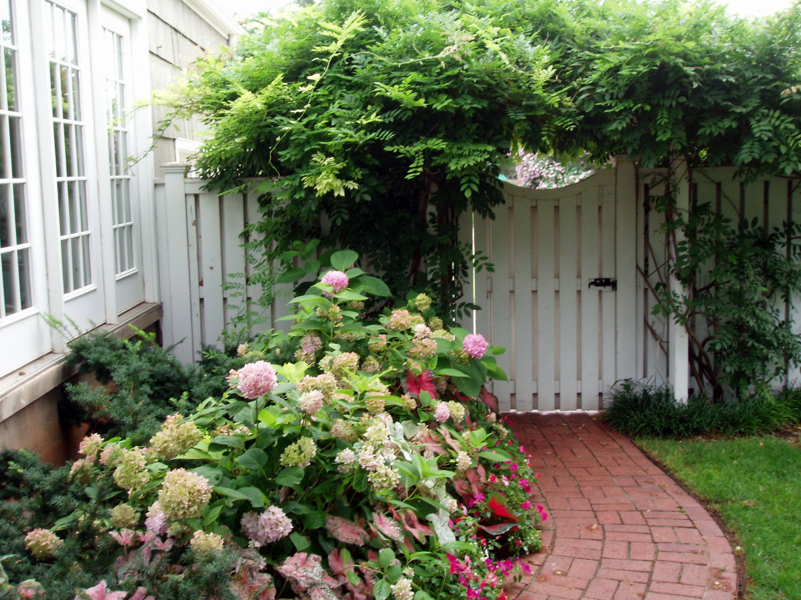 In summer Hydrangea, Caladium and Impatiens spill onto the sidewalk.