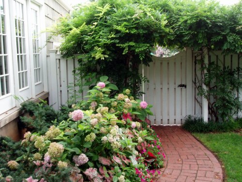 In summer Hydrangea, Caladium and Impatiens spill onto the sidewalk.