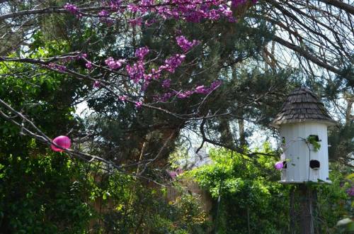 1934708_1024533964298116_5091793639470902979_n