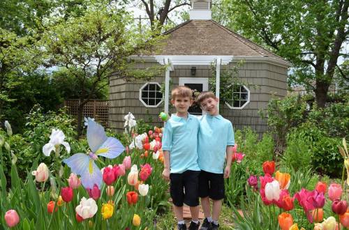 17991104_1362394027178773_1999274718863573445_n