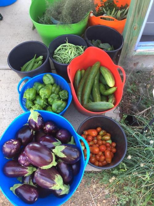 21272640_872135416274444_6193295598440988650_n